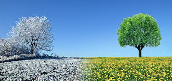 Concept of winter changing to spring